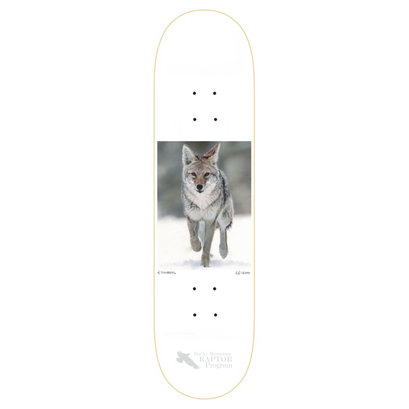 ZERO THOMAS COYOTE 8.5″ SKATEBOARD DECK