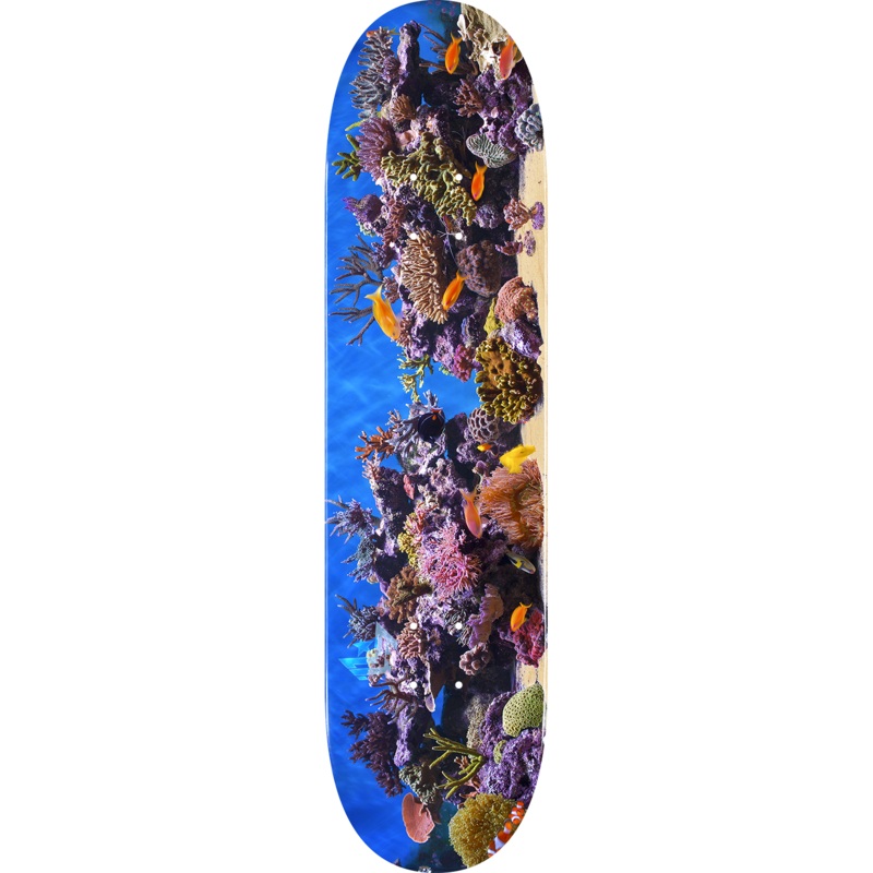 Mini Logo Fish Tank Skateboard Deck 8.0