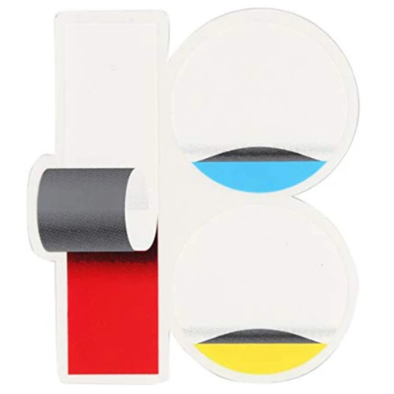 Plan B Skateboards Team Wrap Sticker