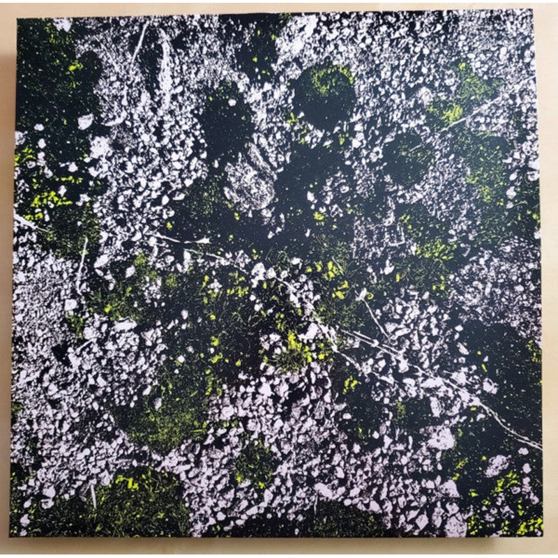 King Gizzard And The Lizard Wizard  Infest The Rats Nest (Live At Red Rocks 2022) Glow In The Dark Color Vinyl LP Record