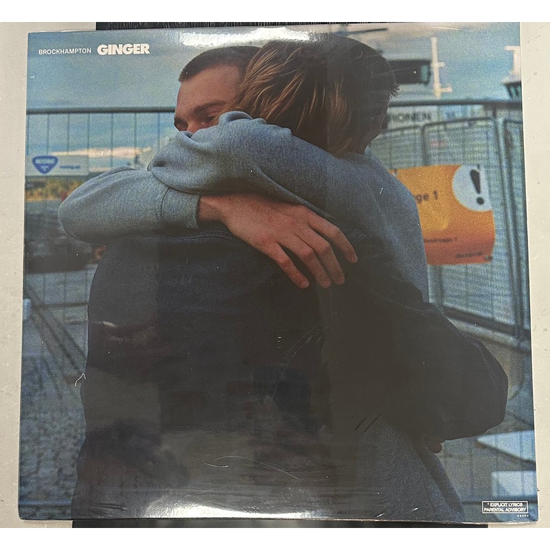 BROCKHAMPTON – GINGER 2x LP Vinyl LP Record *Unofficial Release*