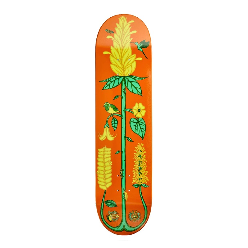 The Drawing Boards – 8.25″ The Golden Shrimp Deck – Orange 8.25″