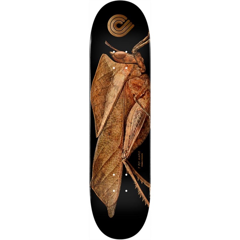 Powell Peralta Biss Leaf Grasshopper 8.5″ Skateboard Deck