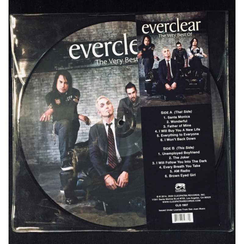 Everclear  The Very Best Of Picture Disc Vinyl LP Record