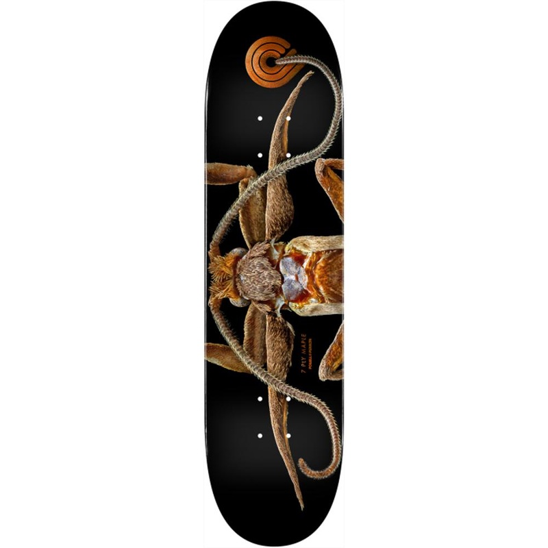 Powell Peralta Biss Marion Moth 8.25″ Skateboard Deck