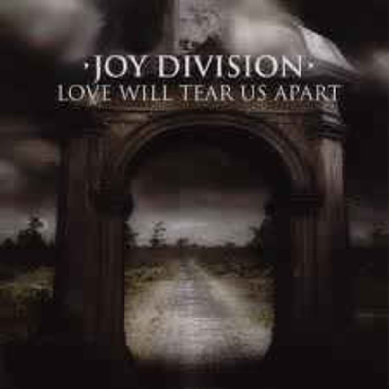 Joy Division  Love Will Tear Us Apart Vinyl LP Record