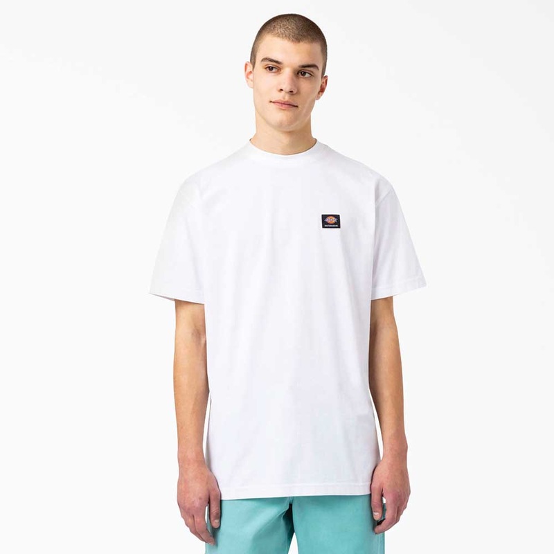 Dickies Skateboarding Mount Vista T-Shirt Small White