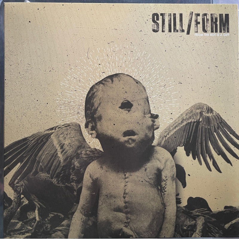 Still/Form  From The Rot Is A Gift Clear Yellow W/ Black Color Vinyl LP Record