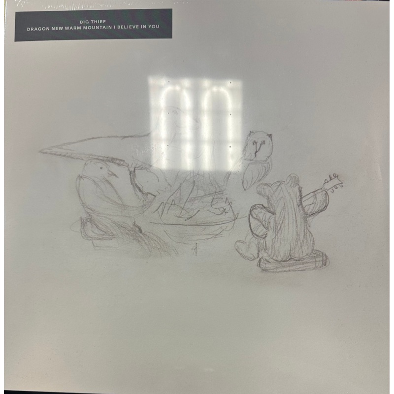 BIg Thief – Dragon New Warm Mountain I Believe In You 2x Vinyl LP Record