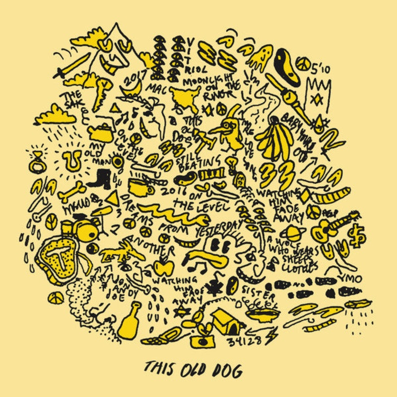 Mac Demarco – This Old Dog Gatefold Sleeve Vinyl LP Record