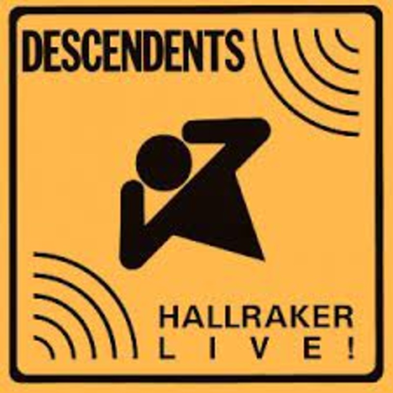 Descendents – Hallraker Vinyl LP Record