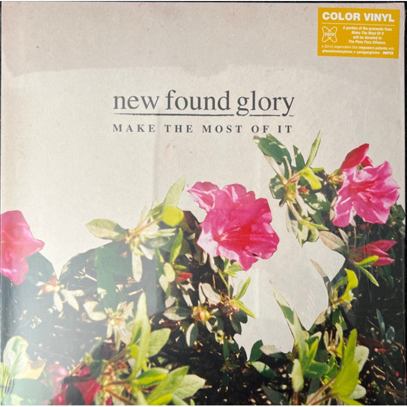 New Found Glory  Make The Most Of It Yellow Translucent Color Vinyl LP Record