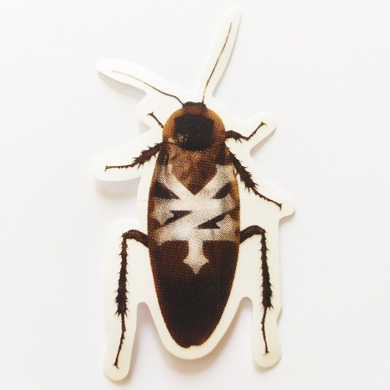 Zoo York Cockroach Skateboard Sticker – 7.5cm high approx