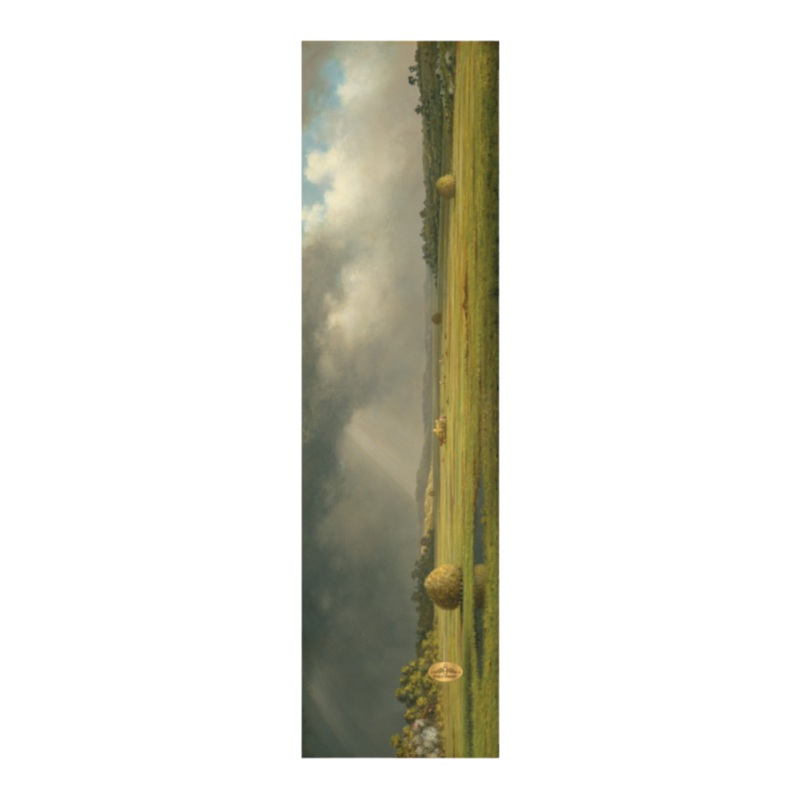 PVBLIC DOMAIN FIELDS GRIPTAPE 9″x33″ 9×33