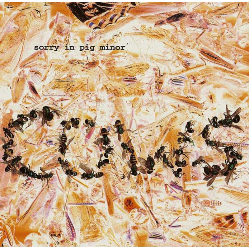 Cows – Sorry In Pig Minor CD