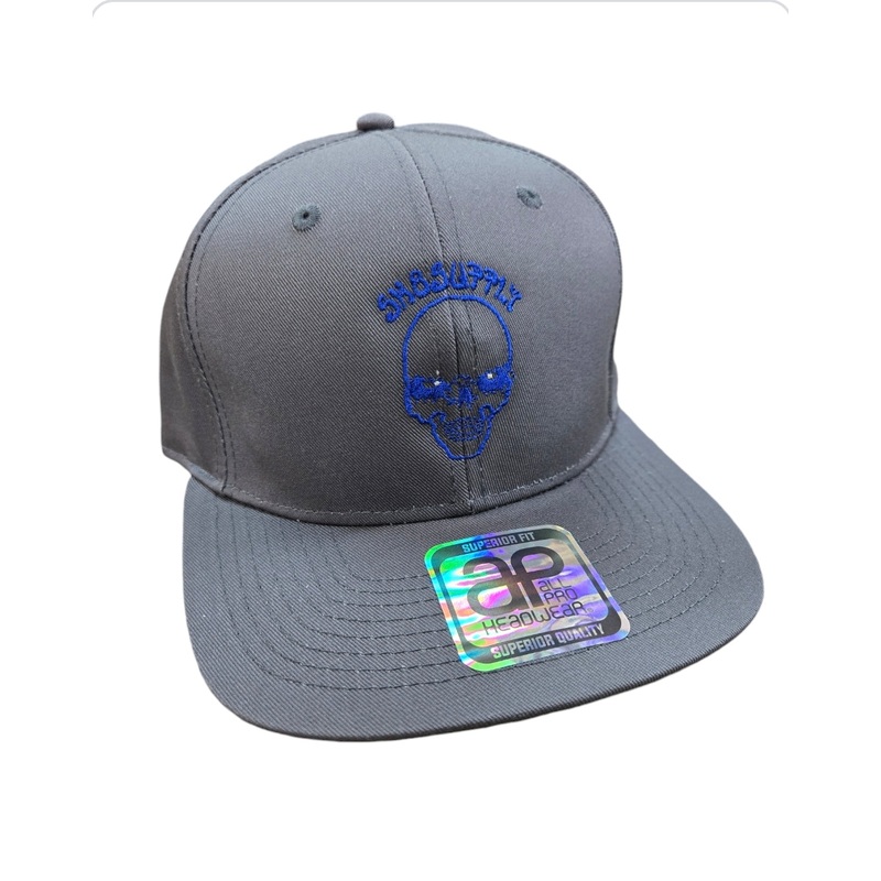SK8SUPPLY Wes Humpston Skull Logo CANVAS snap back hat – GRAY BLUE