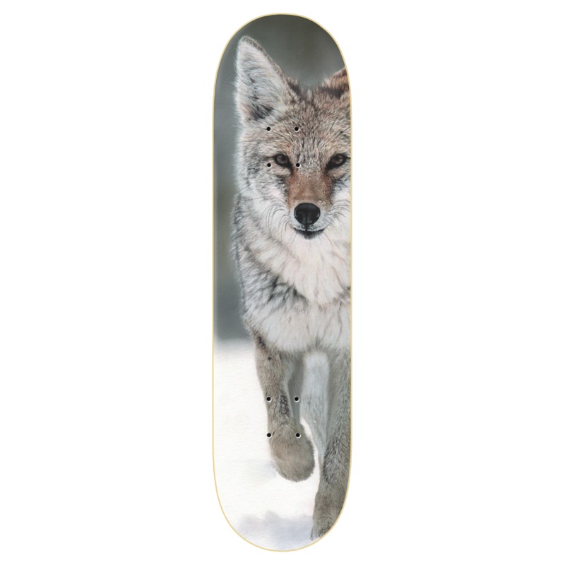 ZERO COYOTE LTD. SKATEBOARD DECK